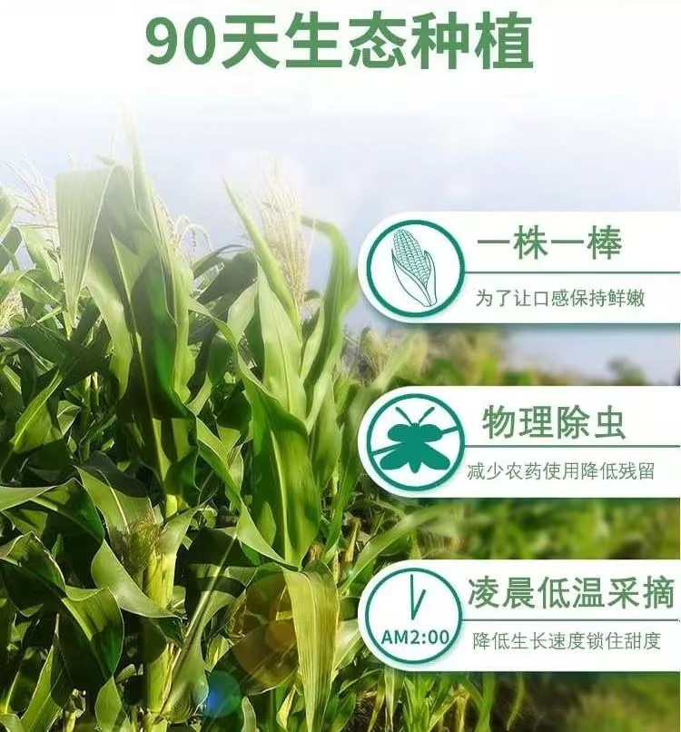 豪利777(OLE777)官方网站