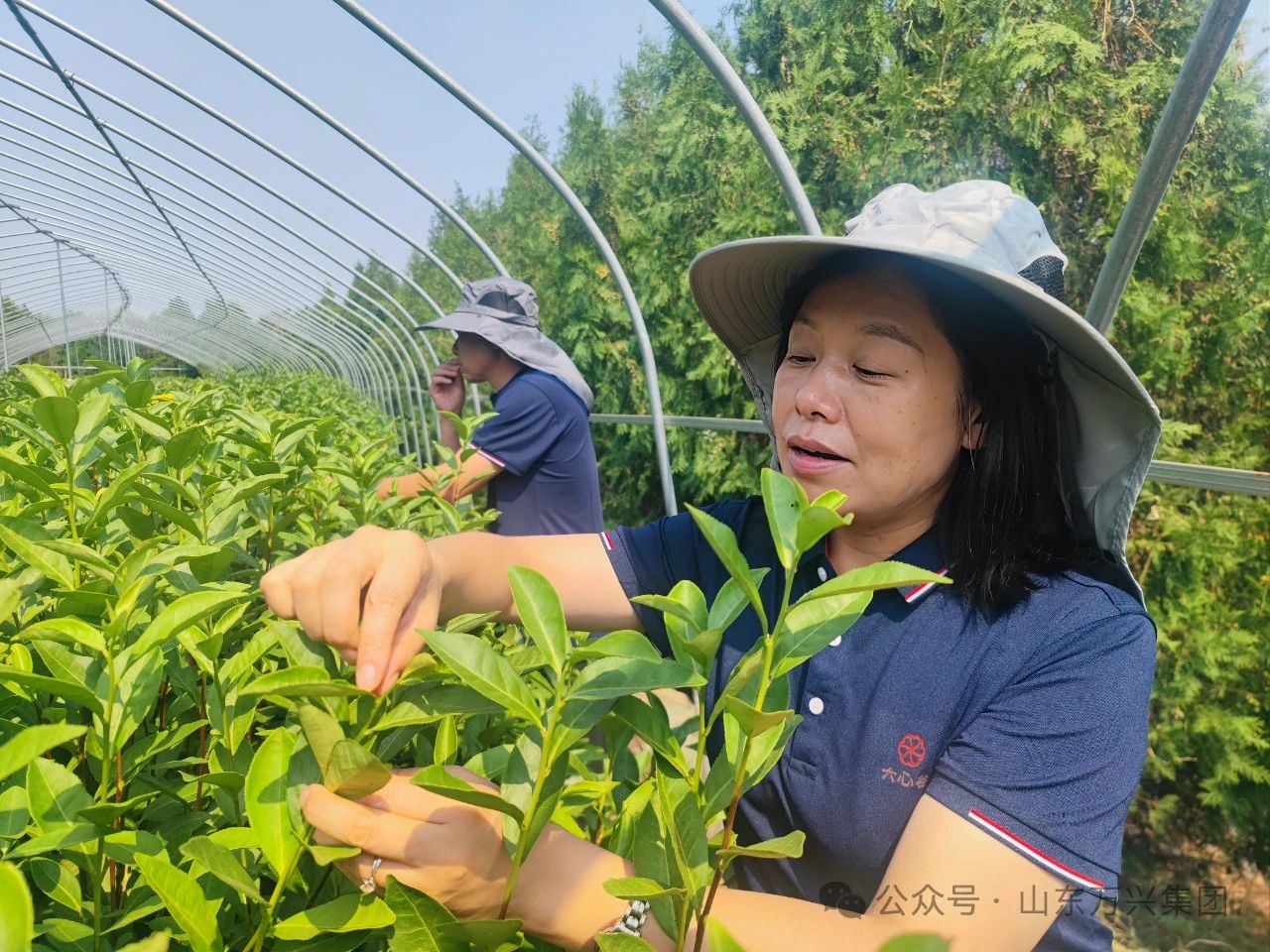 豪利777(OLE777)官方网站