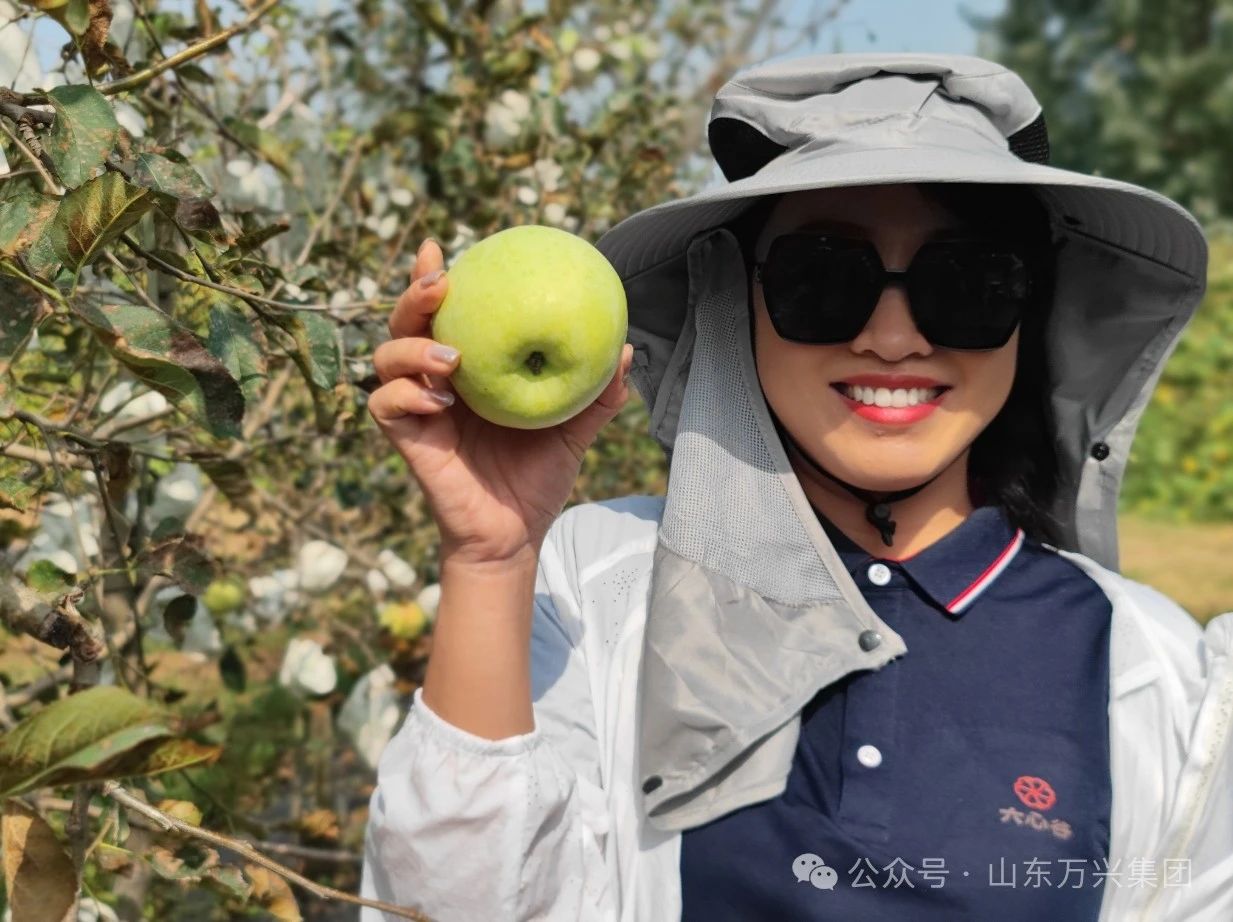 豪利777(OLE777)官方网站