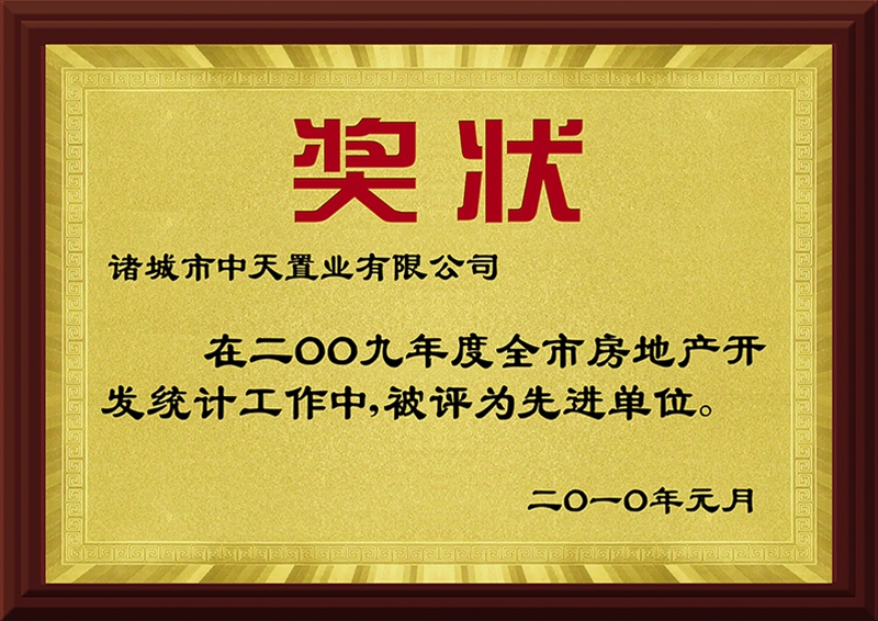 2009先进单元