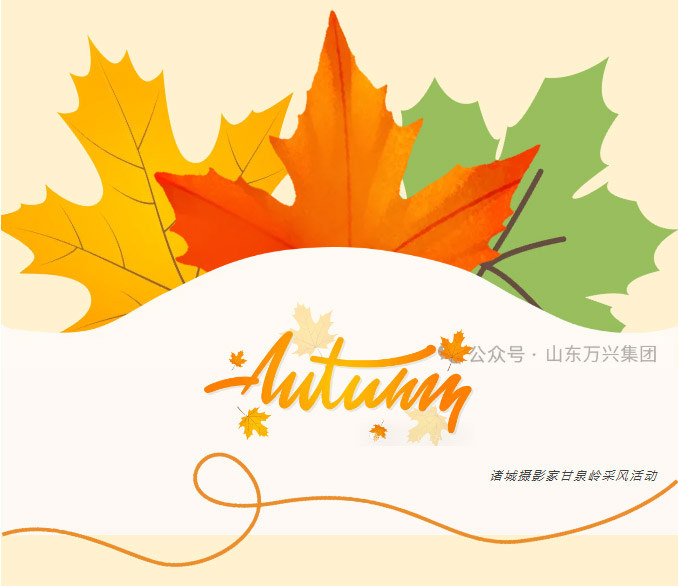 豪利777(OLE777)官方网站