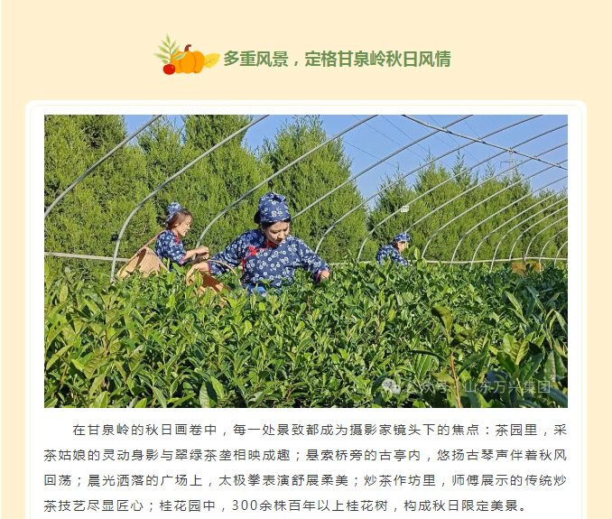 豪利777(OLE777)官方网站