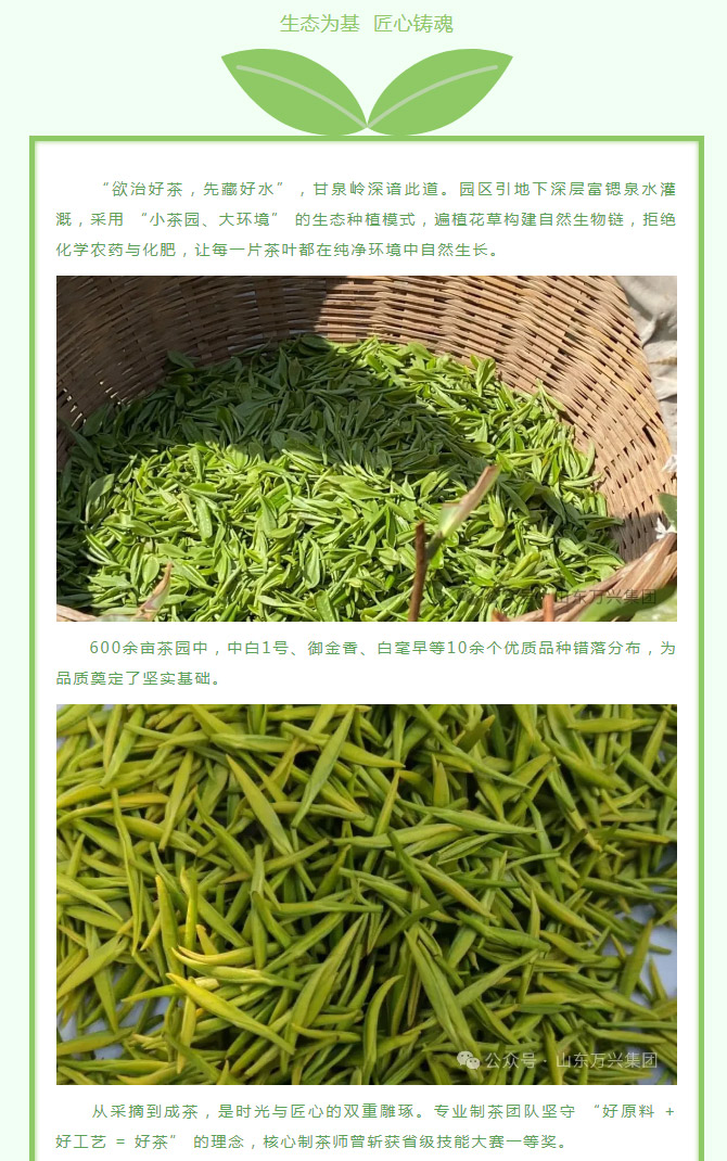 豪利777(OLE777)官方网站