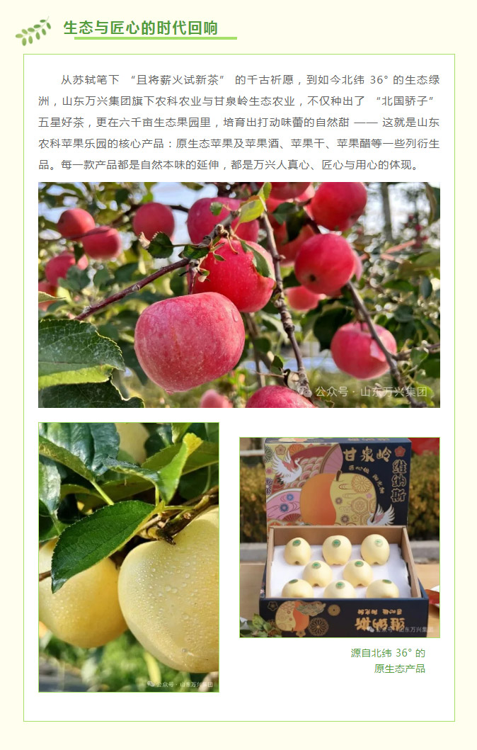 豪利777(OLE777)官方网站