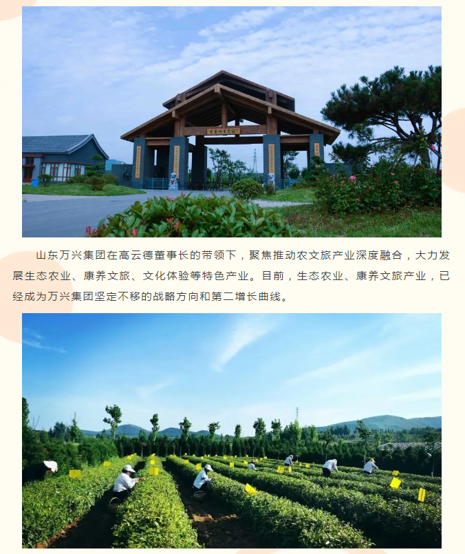 豪利777(OLE777)官方网站
