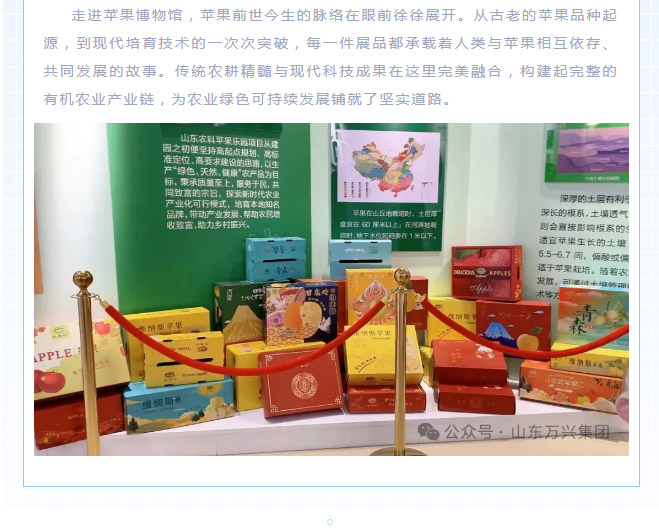 豪利777(OLE777)官方网站