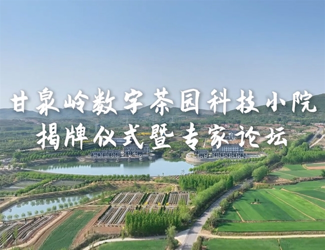 甘泉岭数字茶园科技幼院揭牌典礼暨专家论坛
