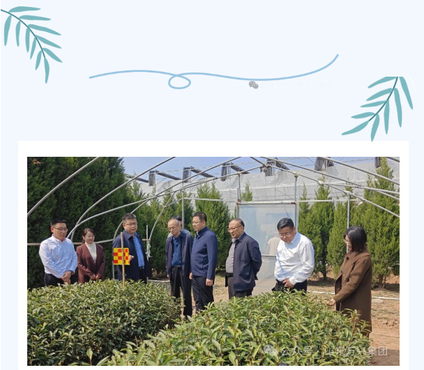 豪利777(OLE777)官方网站