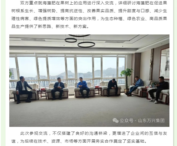 豪利777(OLE777)官方网站